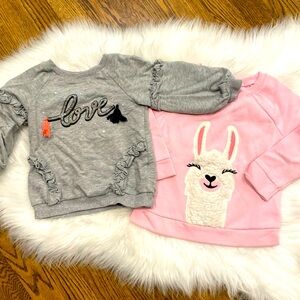 Two 2T Sweatshirts